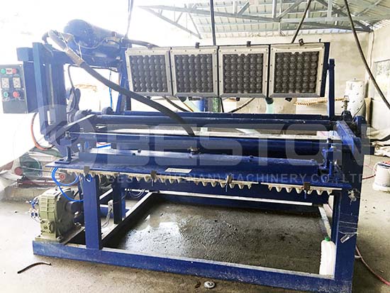 Egg Tray Machine for Sale