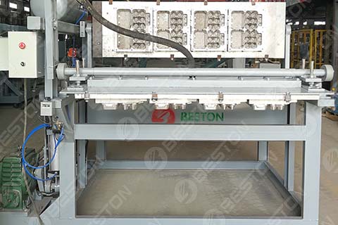 Beston Egg Box Machine