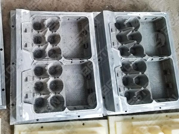 Egg Carton Mould